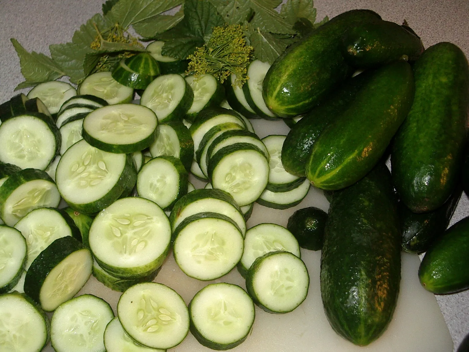 Kokonaisia ja viipaloituja avomaankurkkuja sekä tillinkukintoja pöydällä.